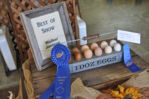 Best of show 1 dozen eggs.