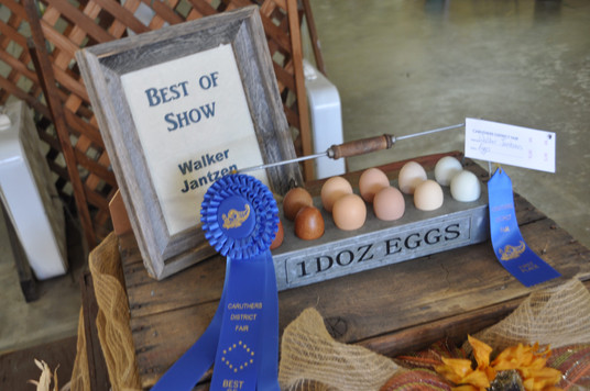Award to 1 Dozen Eggs for the Best of Show