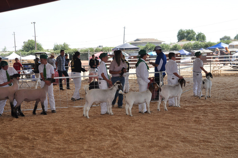 group of students with goats