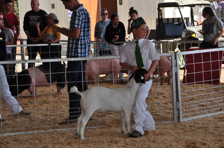 young student with goat