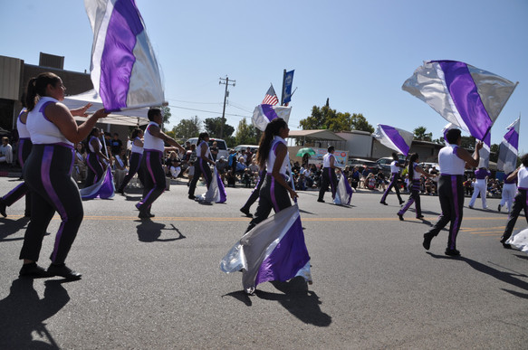 drill team waving purple and silver flags in the parade
